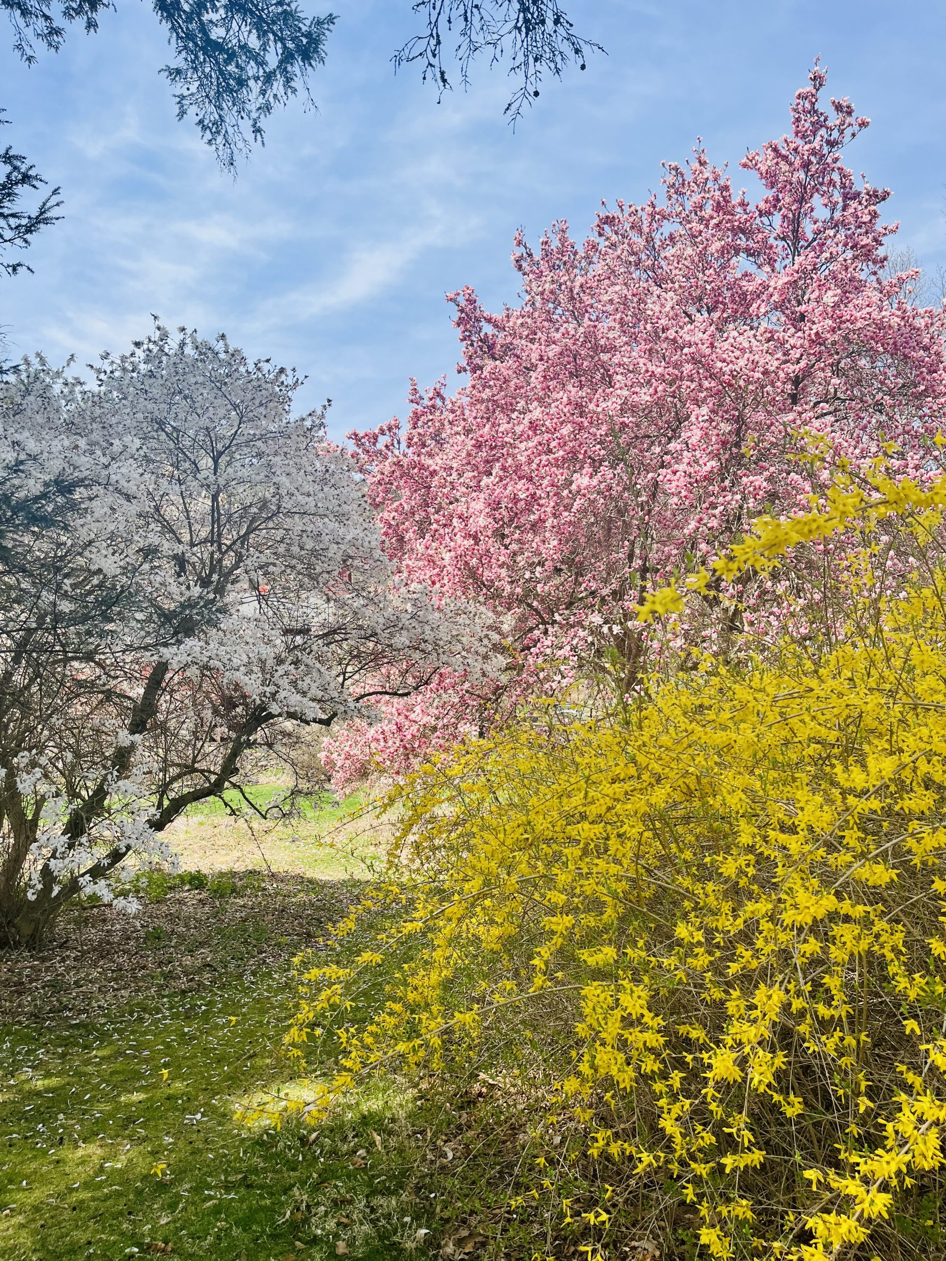 Audubon at Bent of River