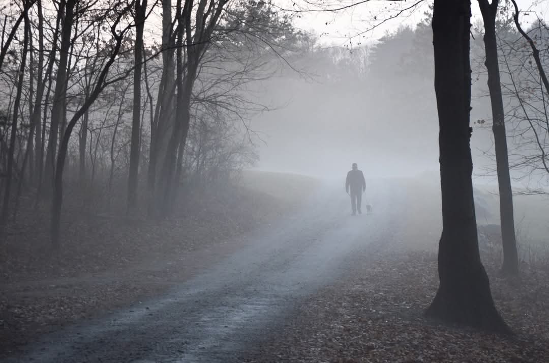 A morning walk in the fog