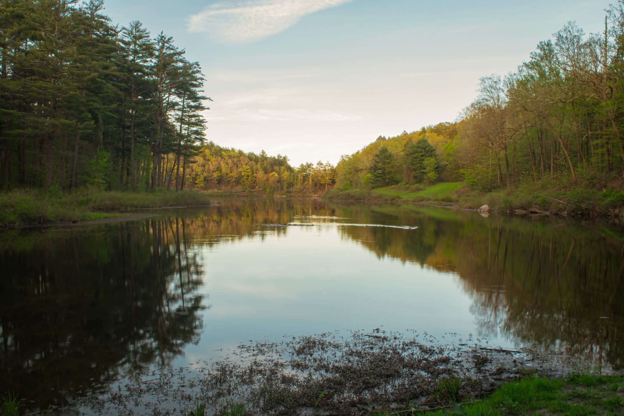The view from a closed off road