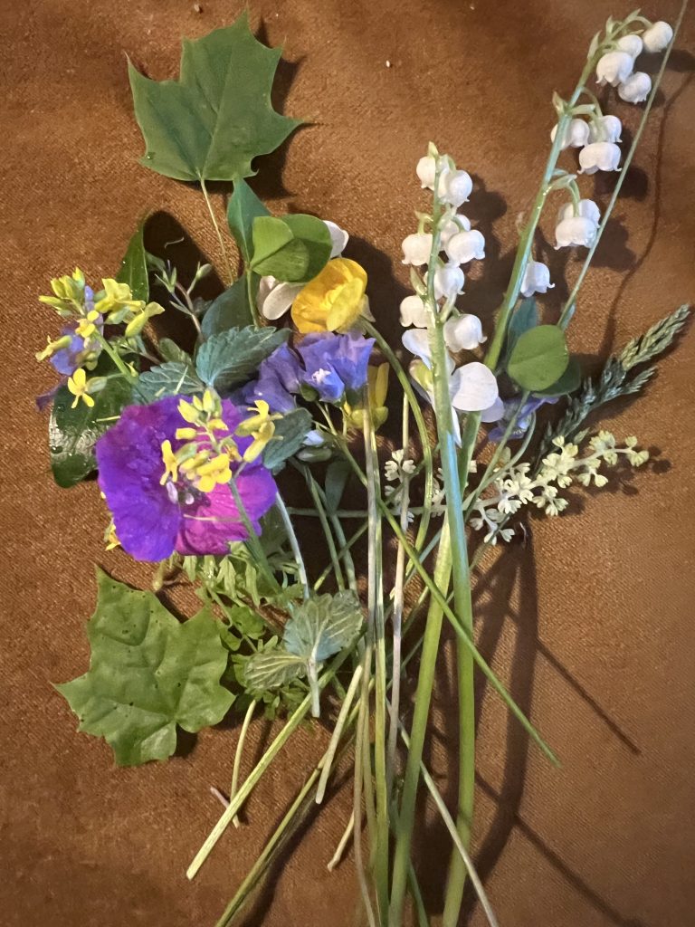 Wild flower finds