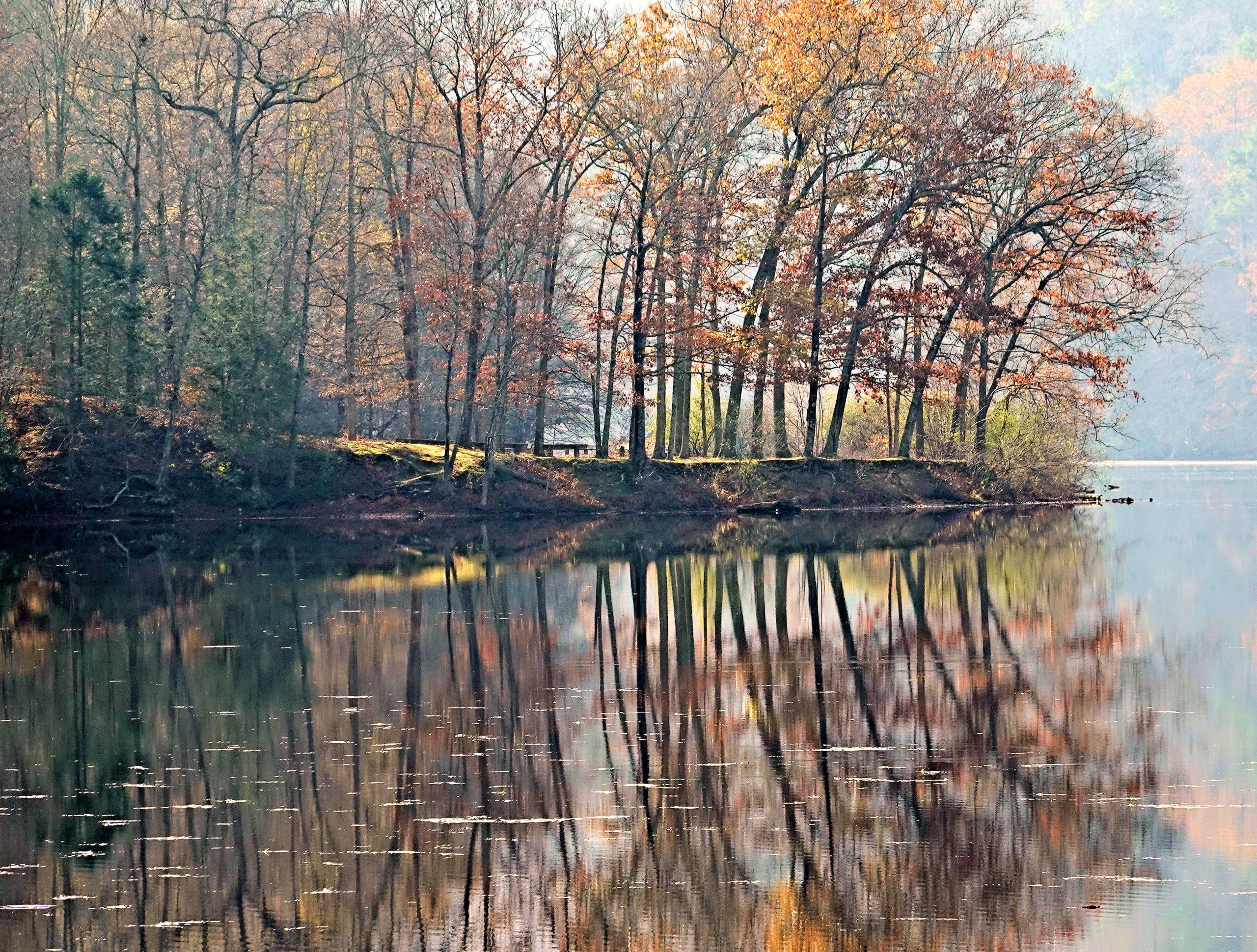 Autumn Reflection