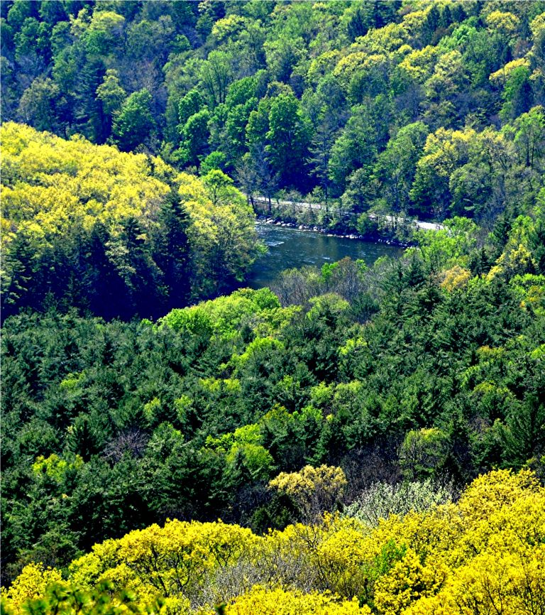 River Bend