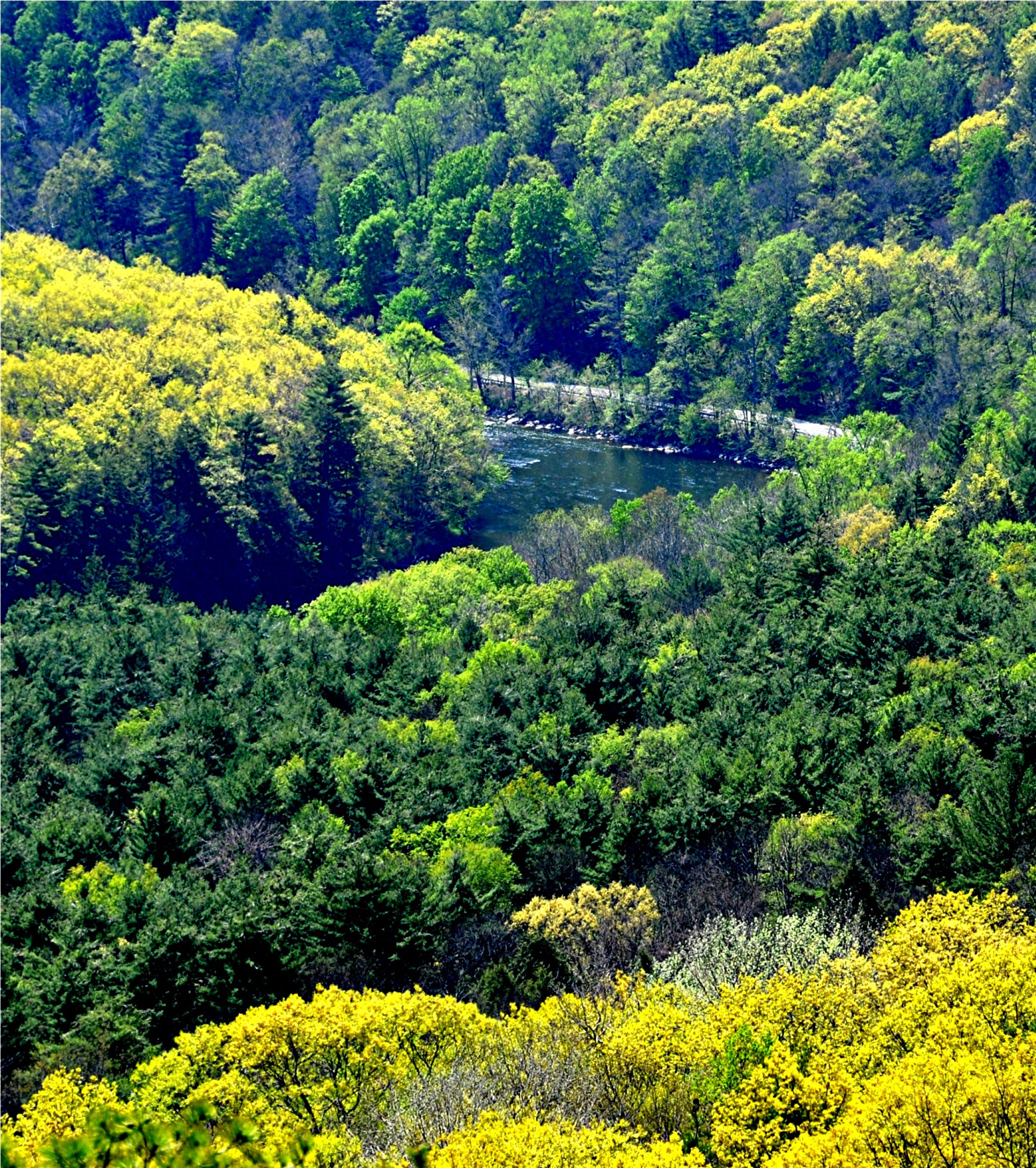 River Bend