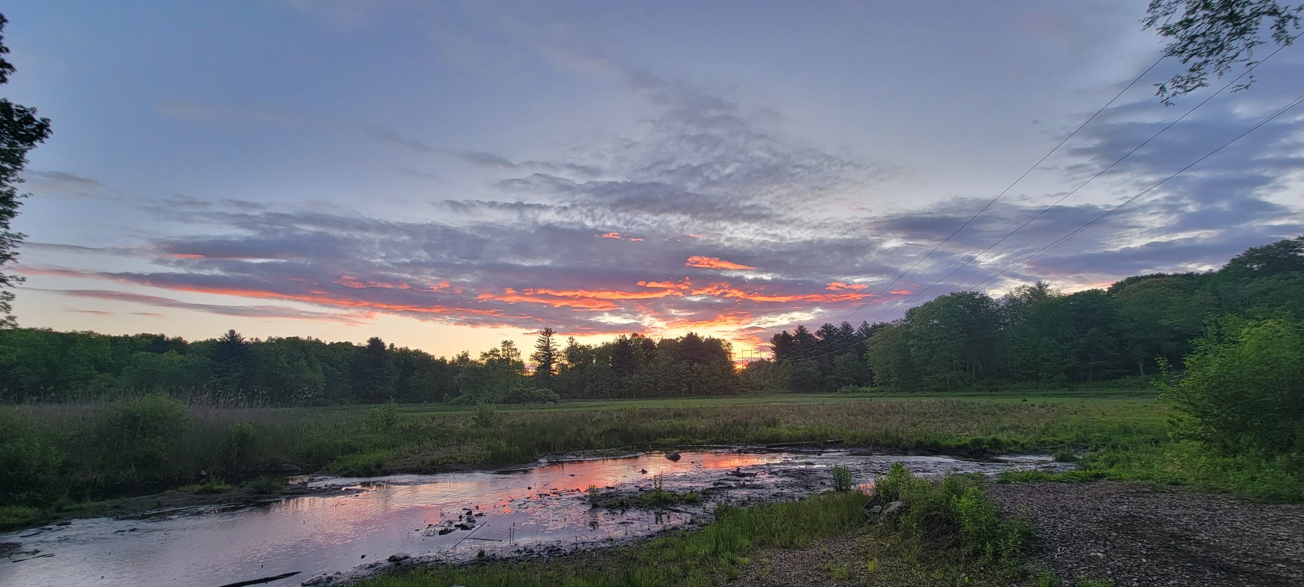 Pond at sunrise