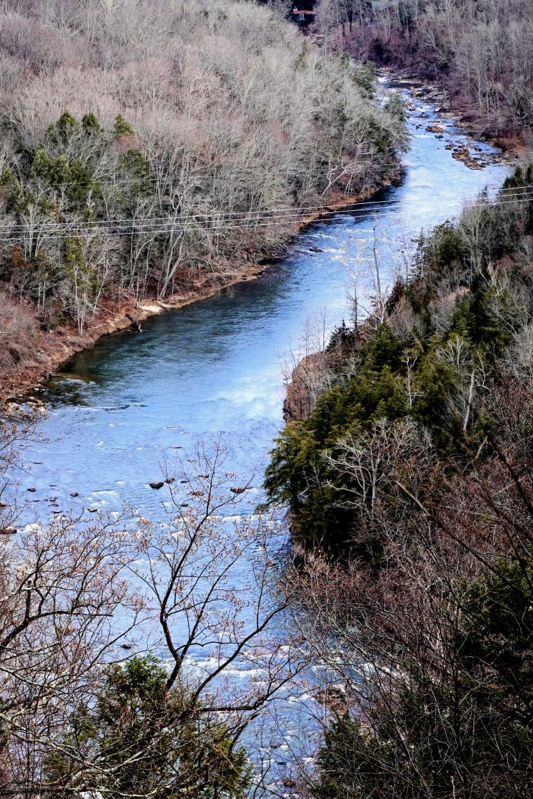 Appalachian Trail View