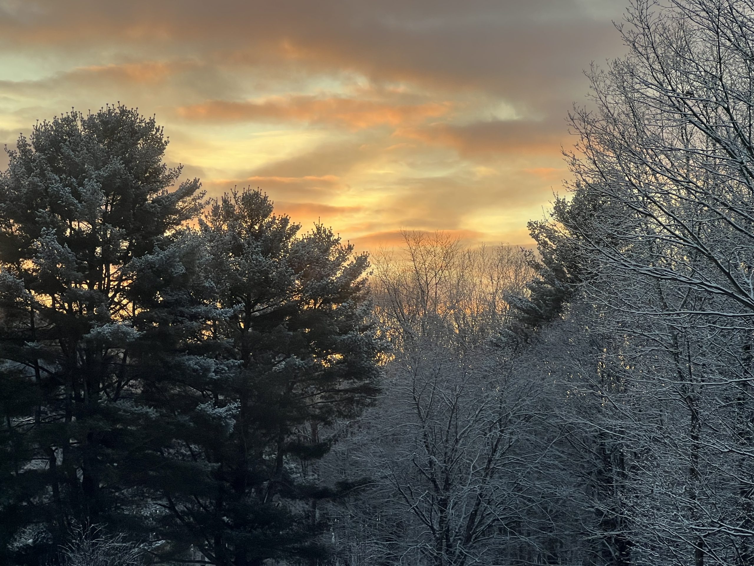 Sunrise screensaver