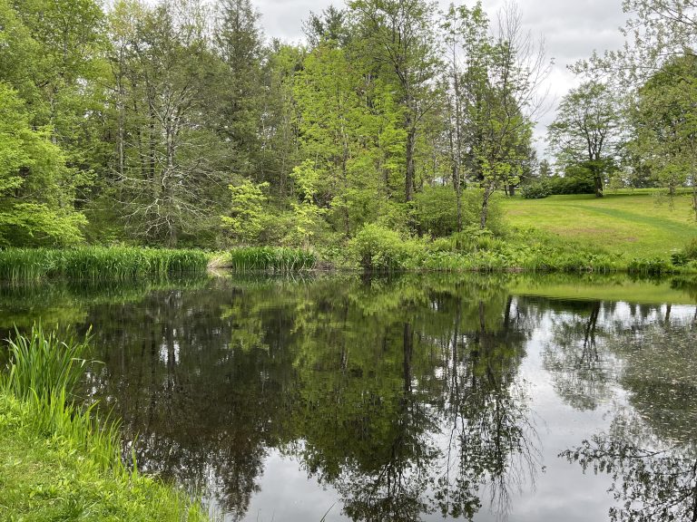 Reflections