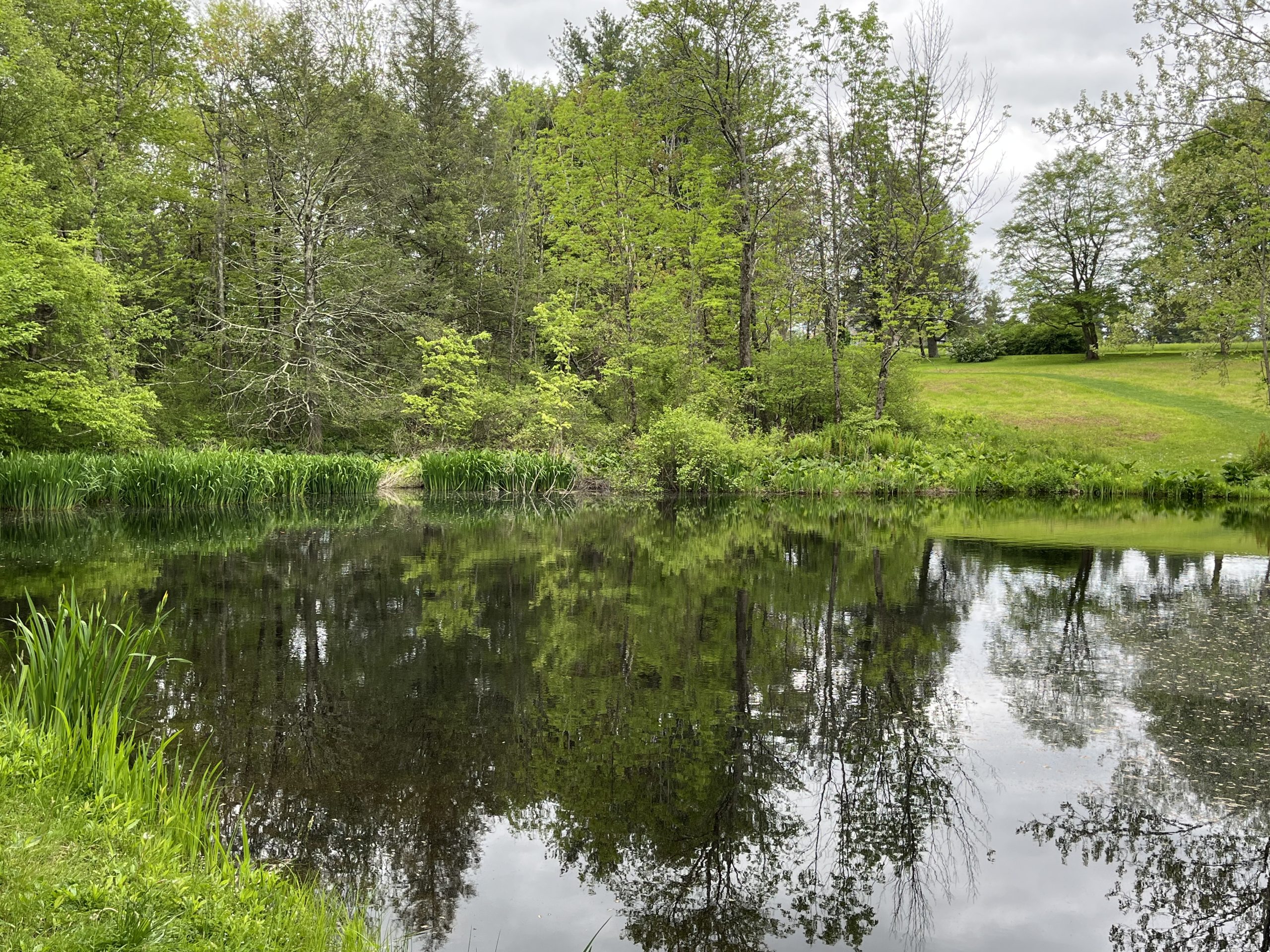 Reflections
