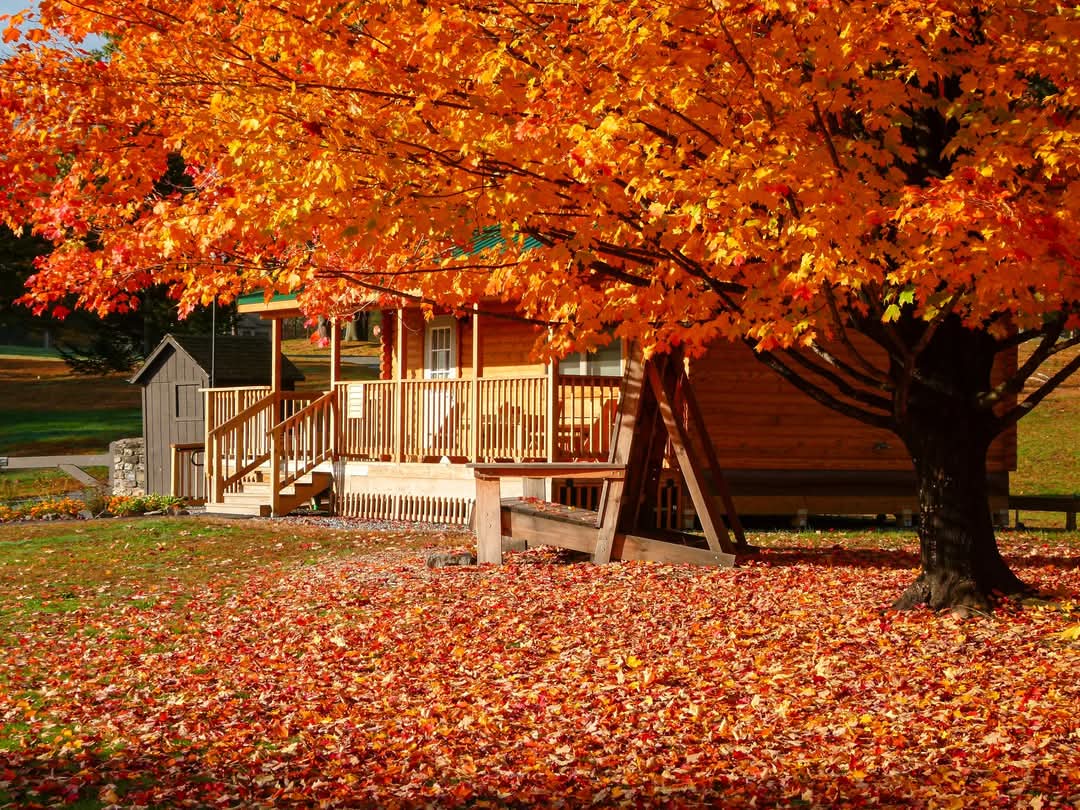 Camping grounds in the fall