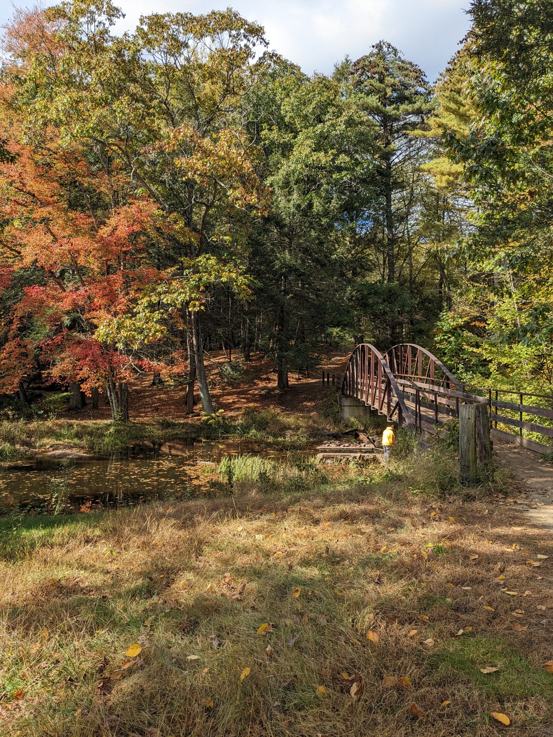 Autumn