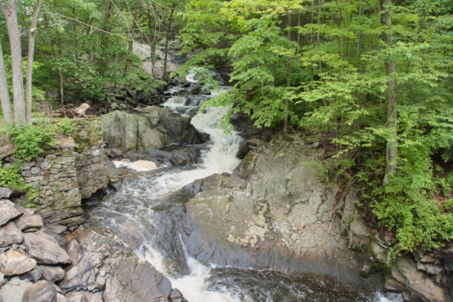 A meandering stream.
