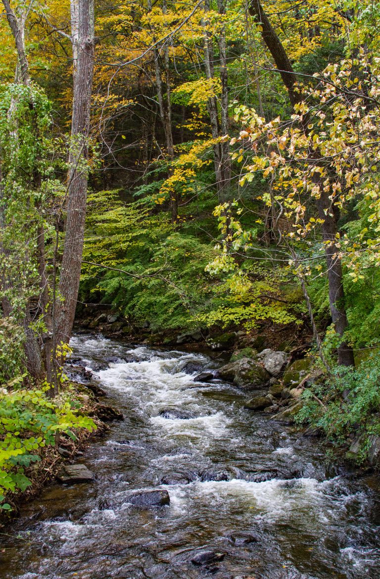 Autum scene on East Aspetuck River. October, 2018.