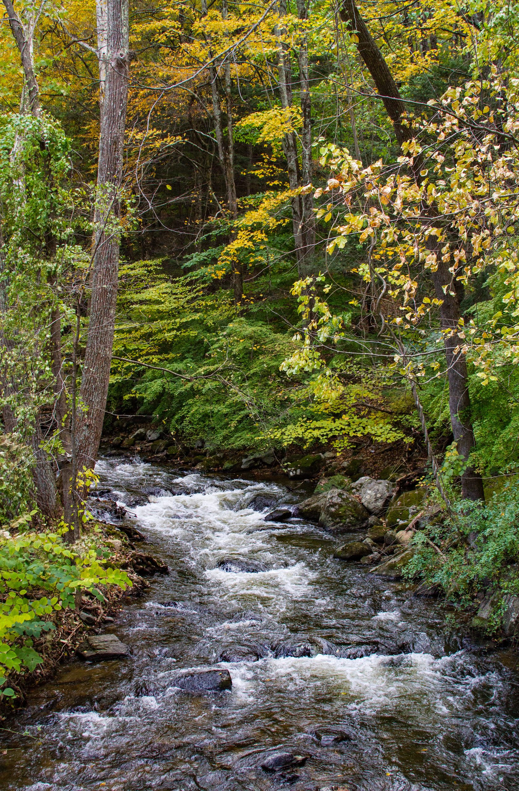 Autum scene on East Aspetuck River. October, 2018.