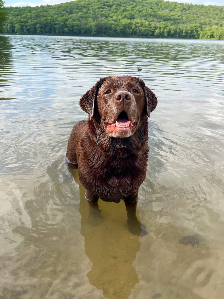 Bindi’s Favorite Place