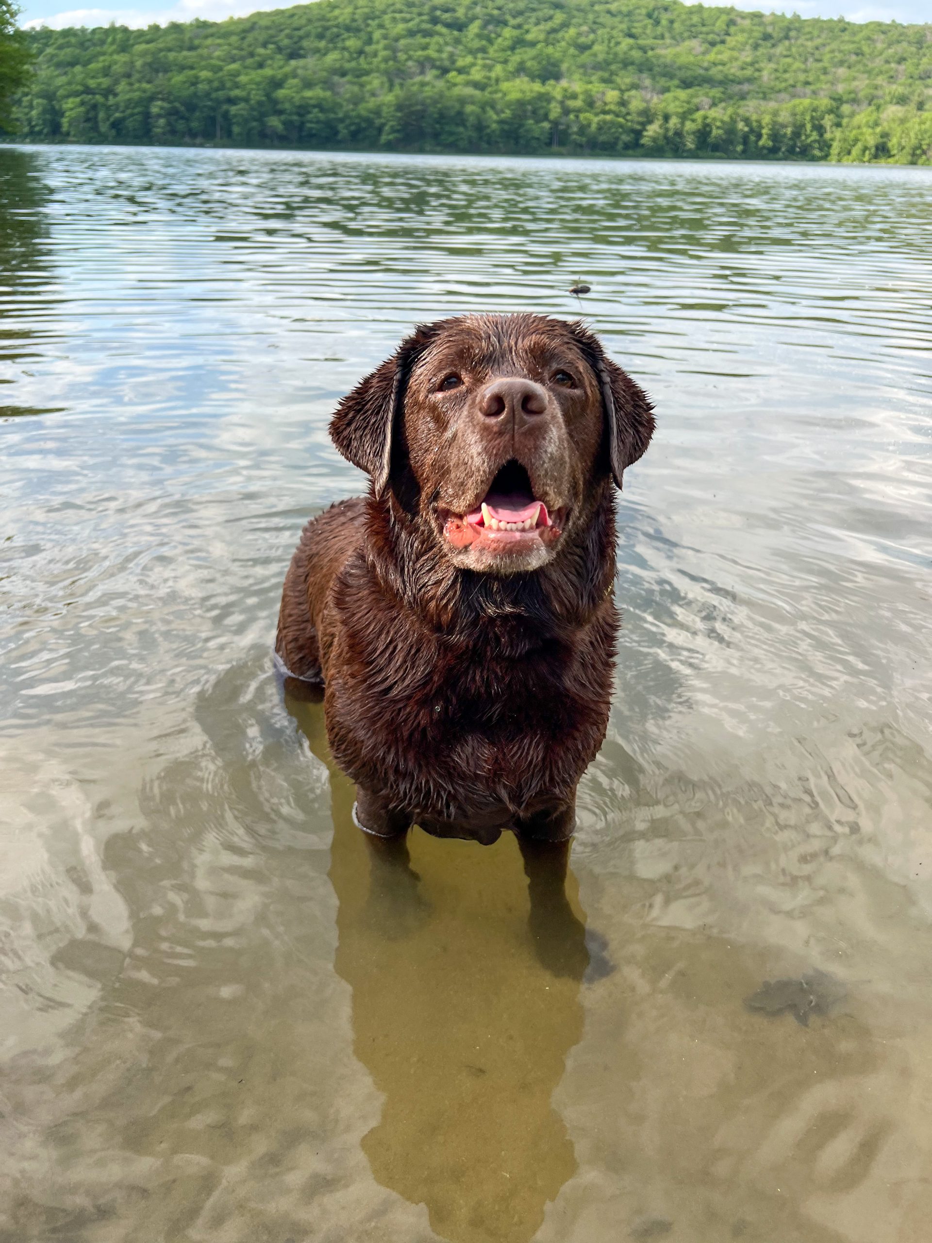 Bindi’s Favorite Place
