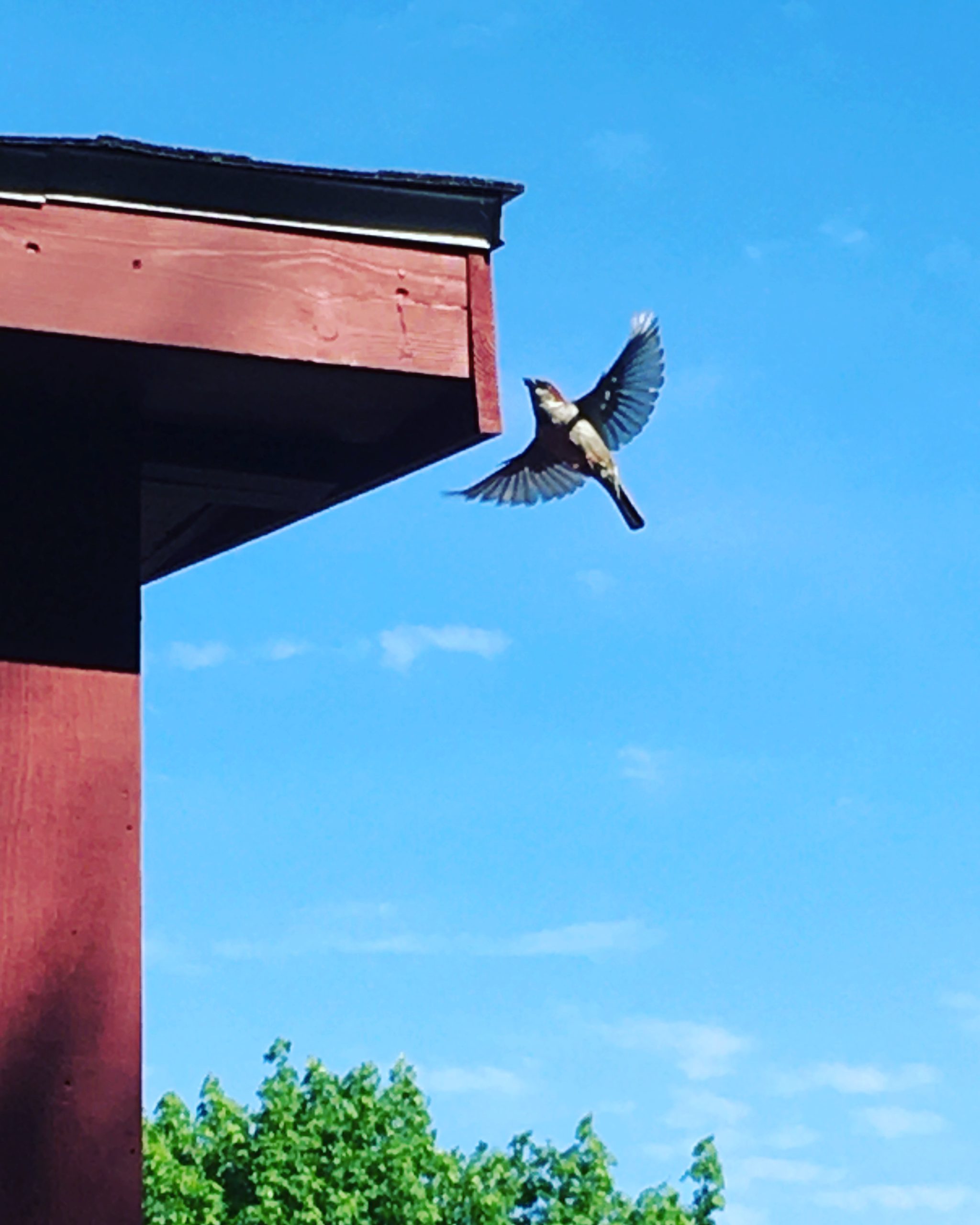 Reaching new heights.