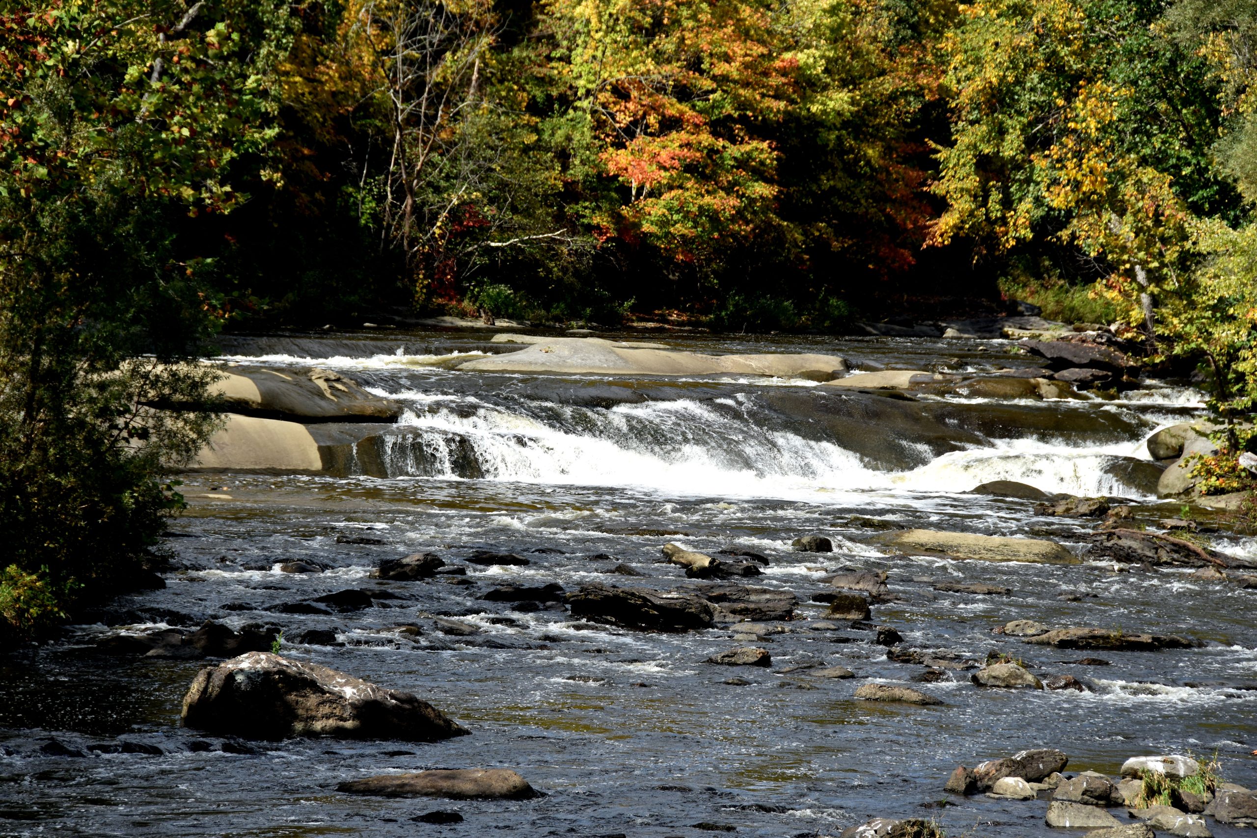 River Rapids