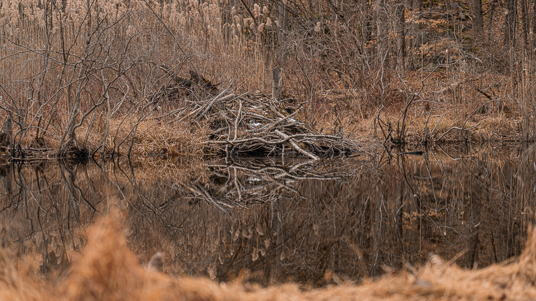 Ff 38c67dcc2f98a62a3dfa45eda52923b2 ff lodge