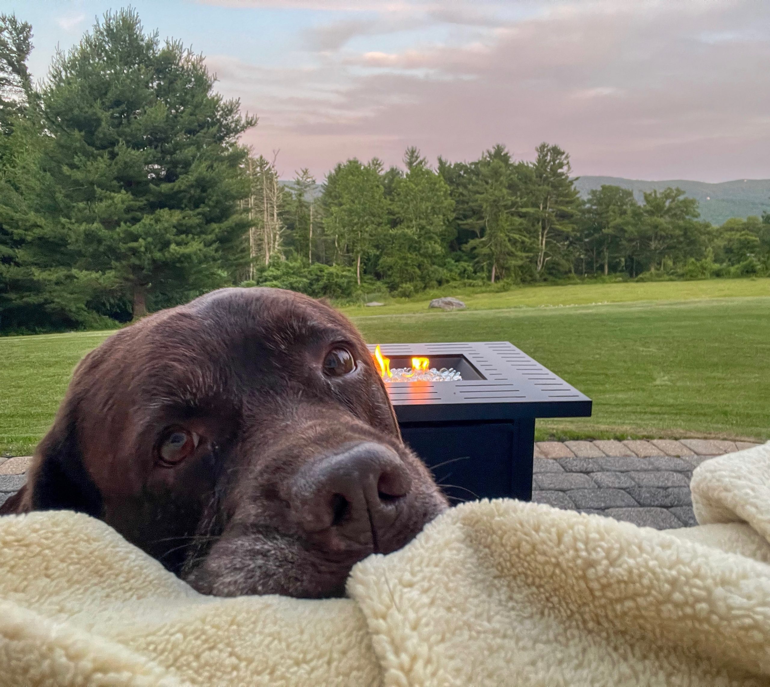 Bindi Relaxing On a beautiful Night