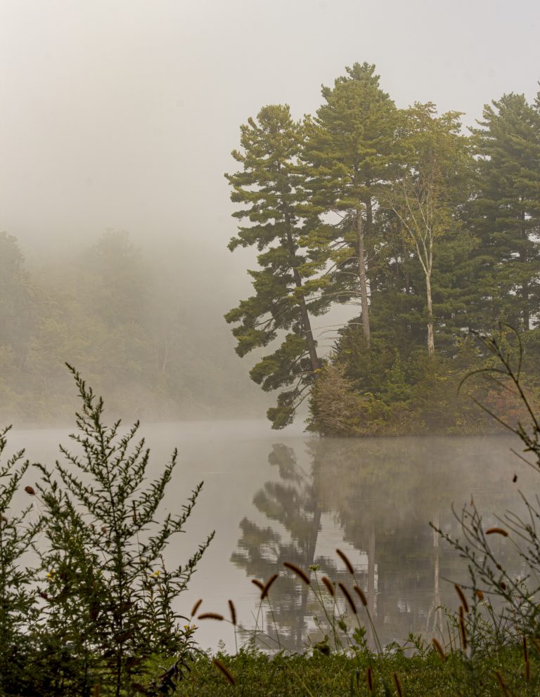 Fisher Pond