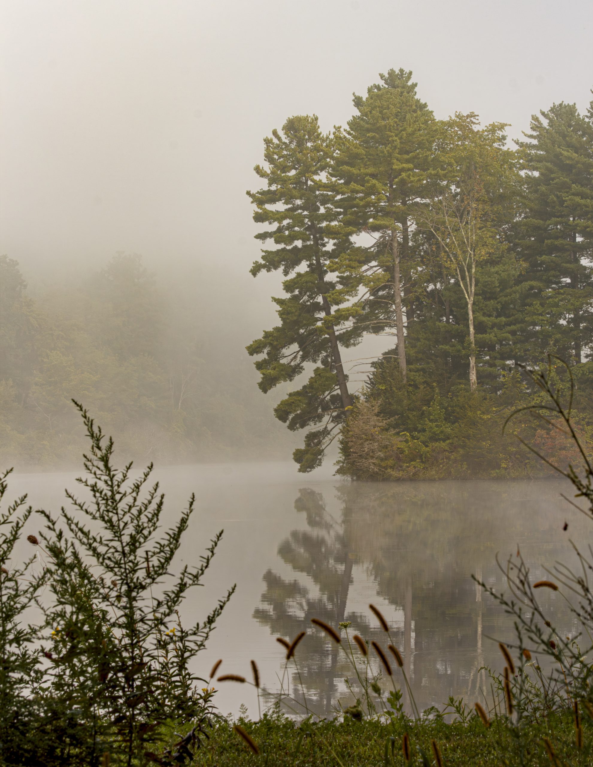 Fisher Pond