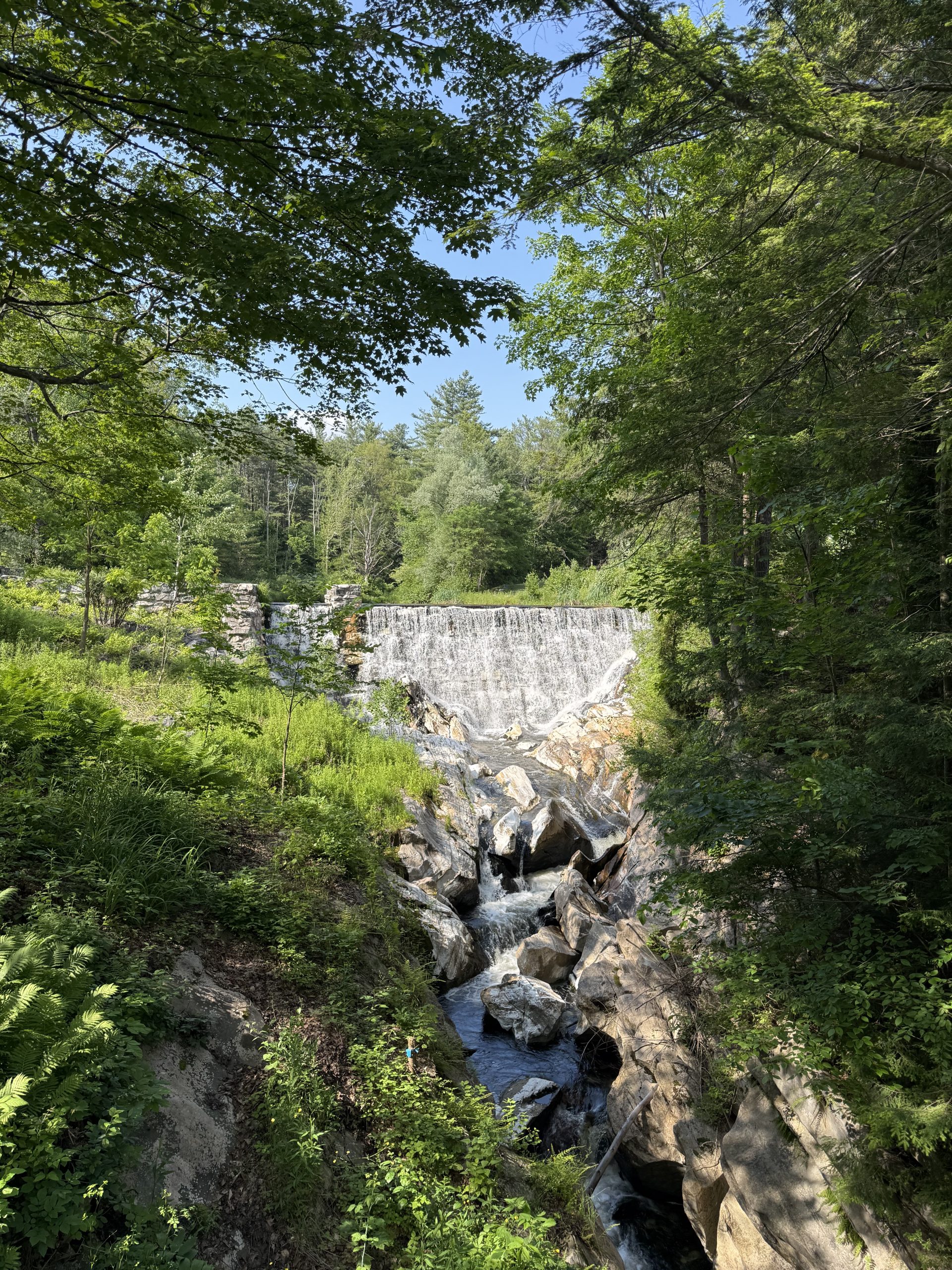 Natural Bridge State Park
