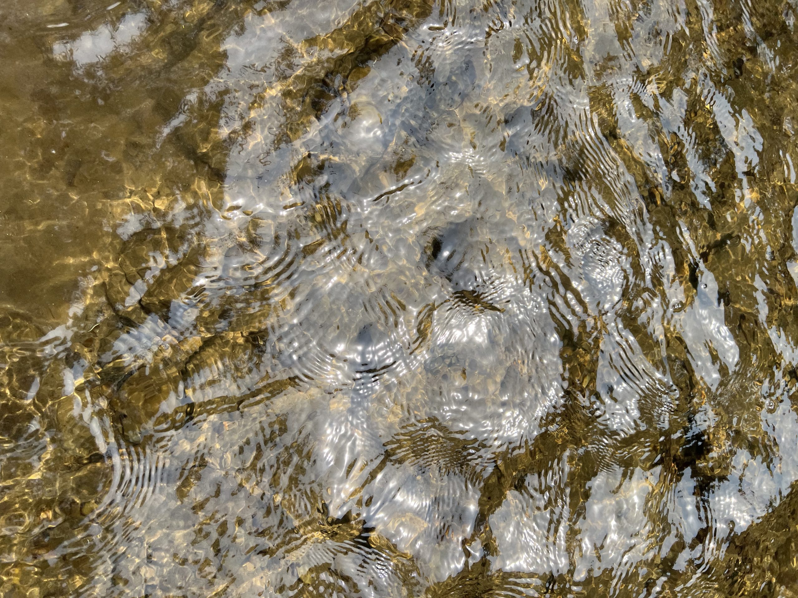 Ff 05a23cf8377cb4318ccab11ea04ce4d5 ff img 5929