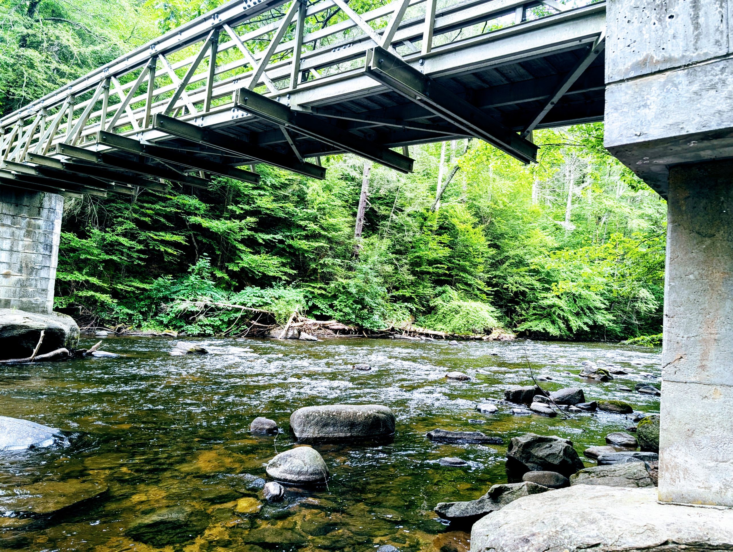 View of the Shepaug River below the footbridge.