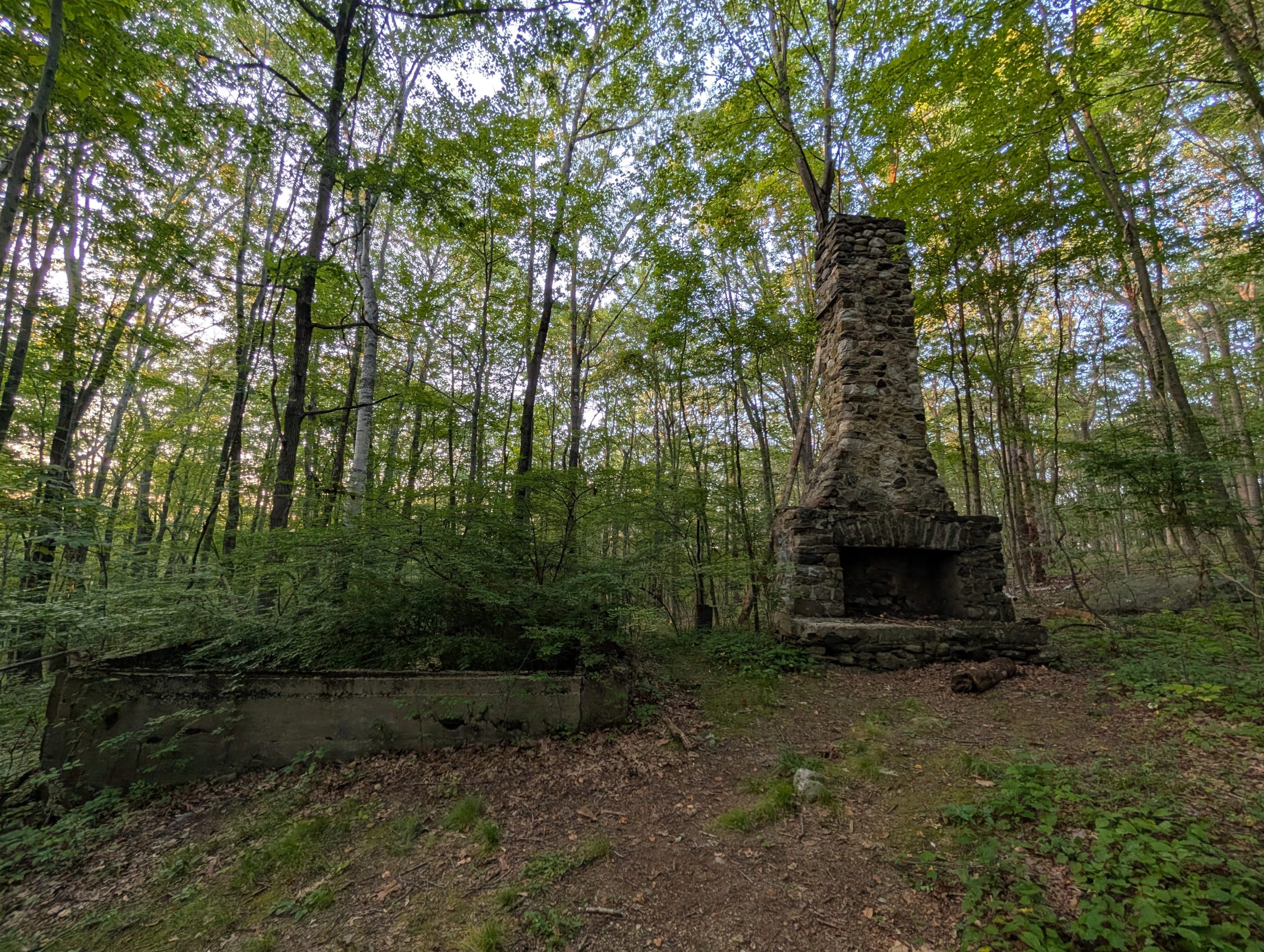 Chimney and foundation remnants along the Tower trail.