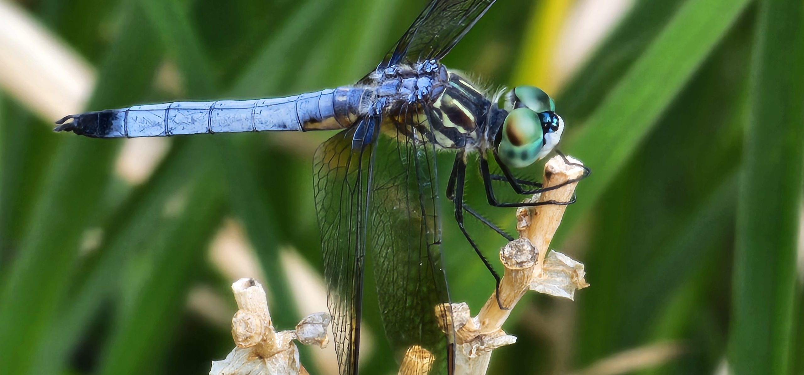 Along side the Housatonic River