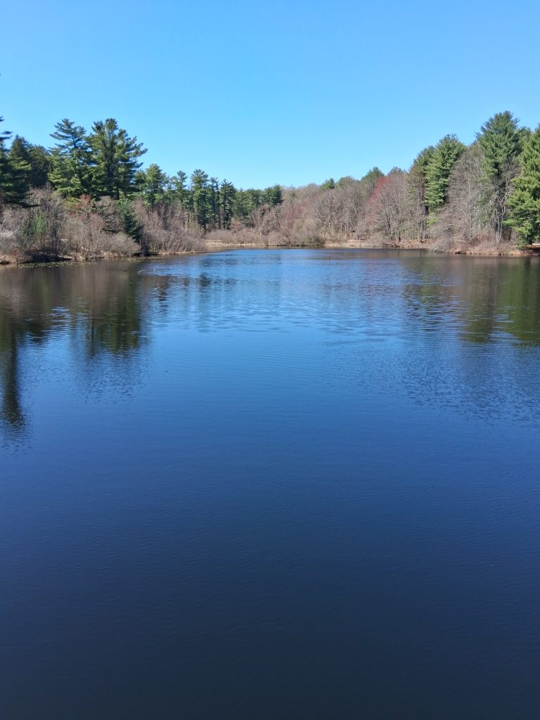 Shelton Lakes