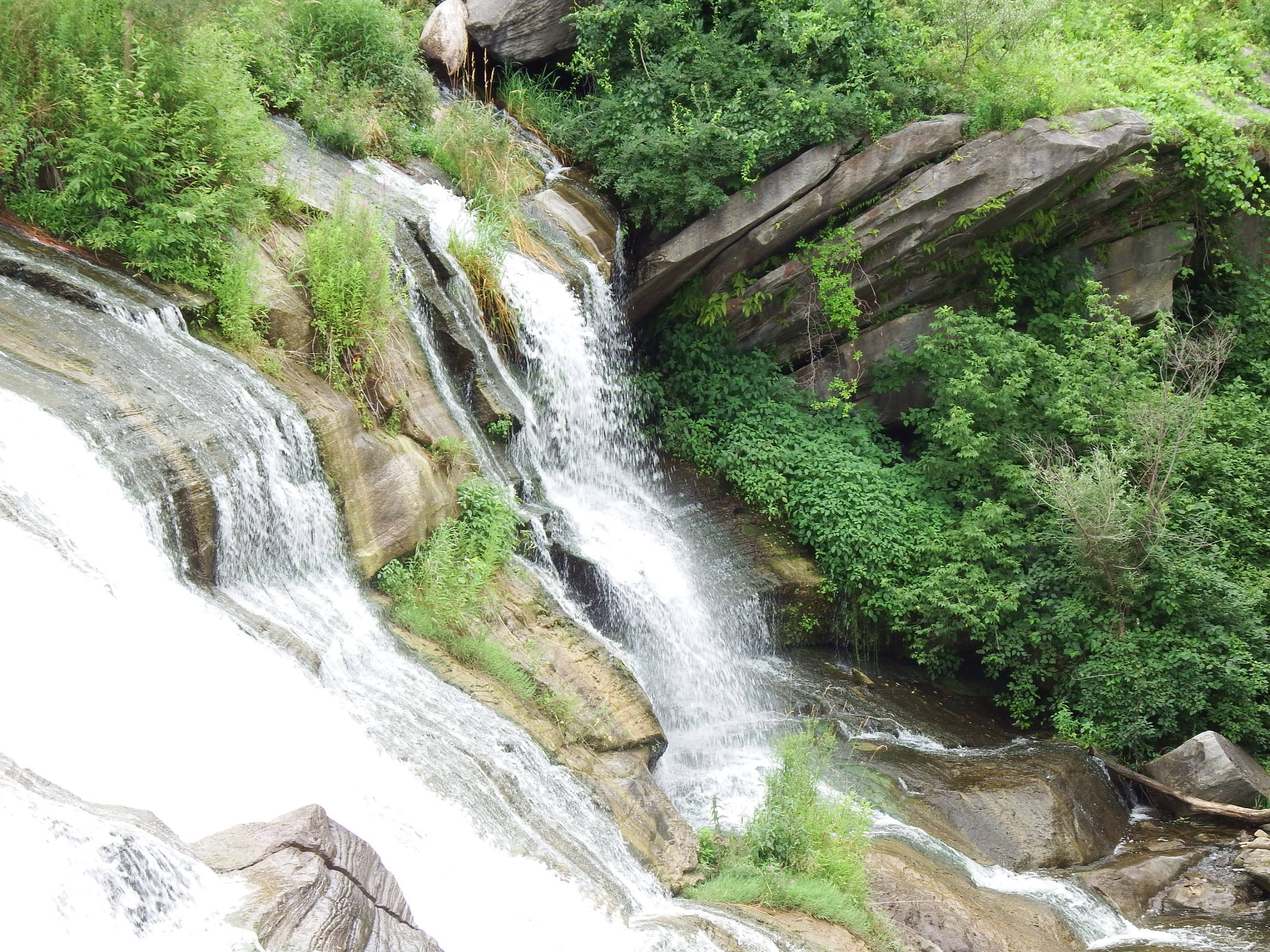 Ff 7c5edd5418b6fadc36faa48589f63cce ff 2014 1116 17541700