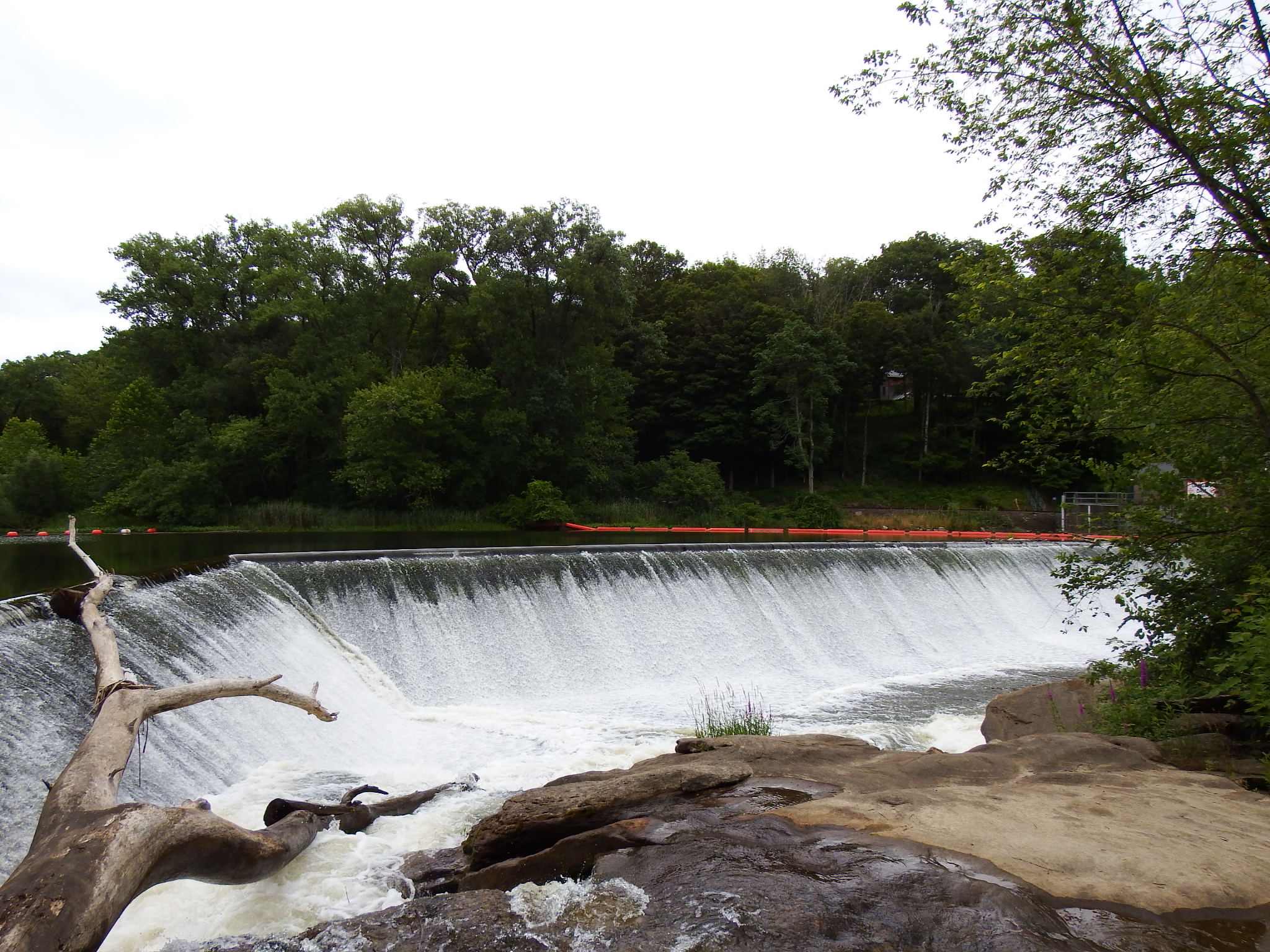 Ff 9835e0fa17695ea6afb453f03cf0d33e ff 2014 1116 17461300