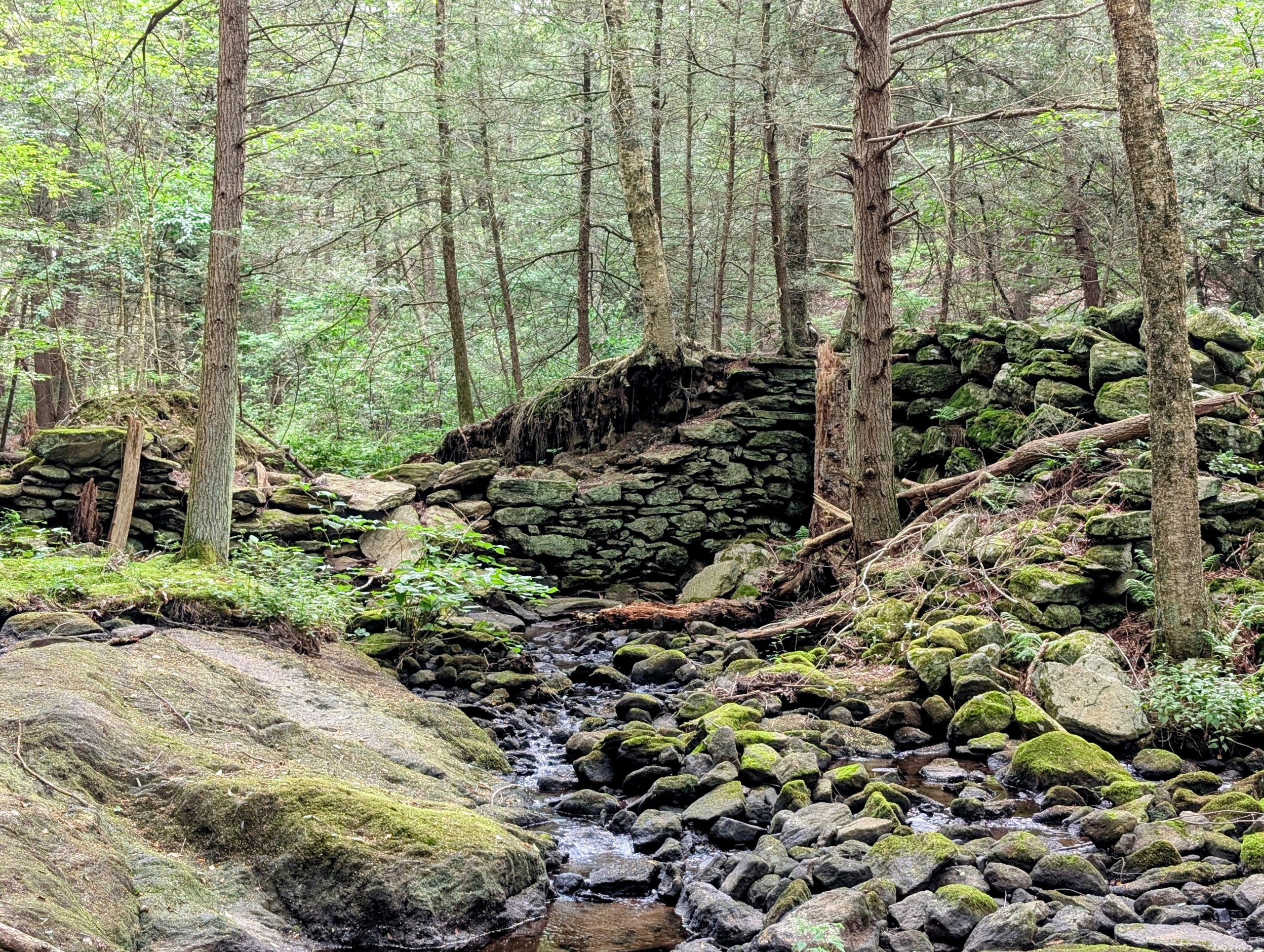 Ruins along the Mad River