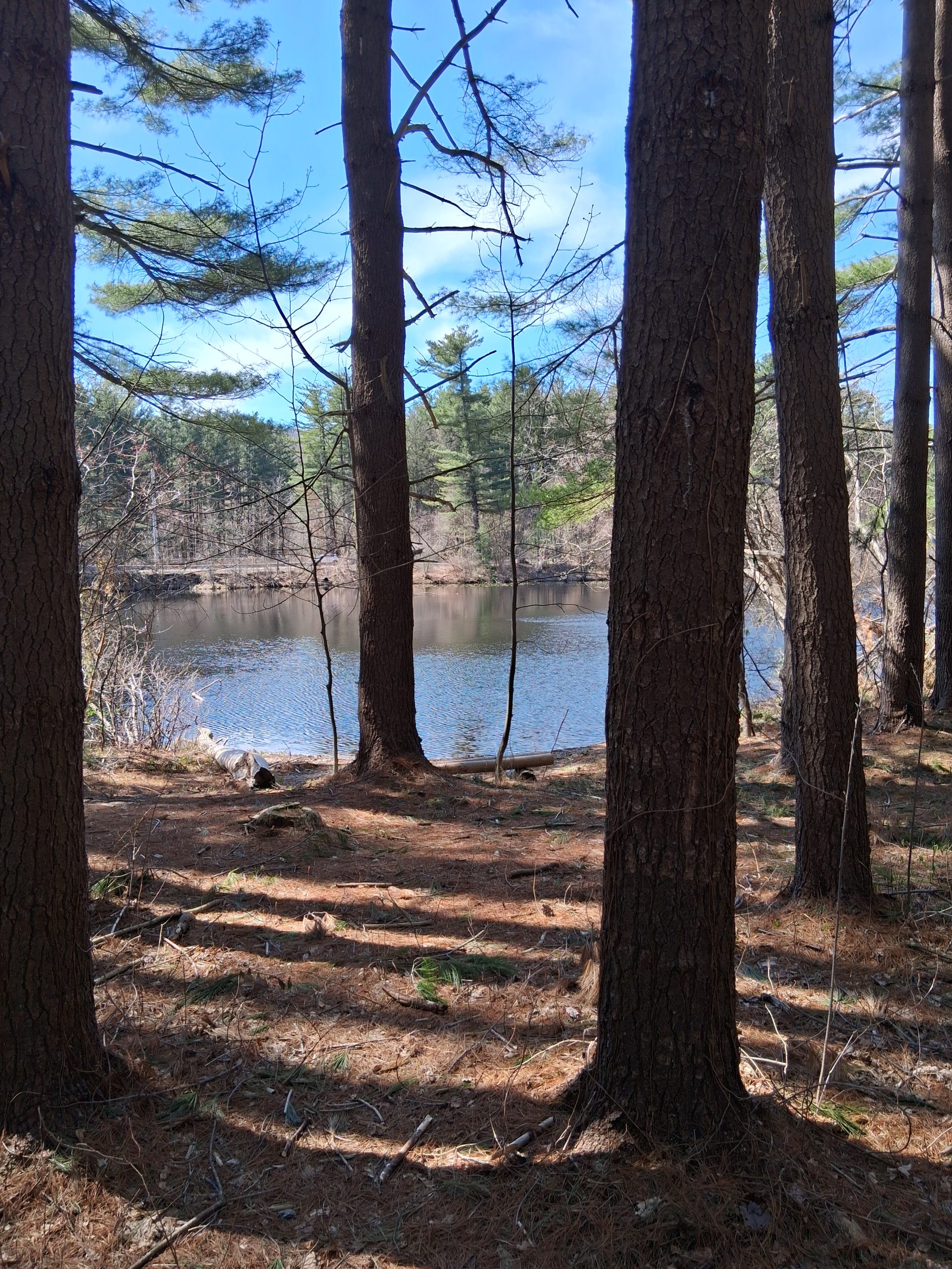 Ff a804a77fbc285ac237c89404687e8e59 ff 1000000272