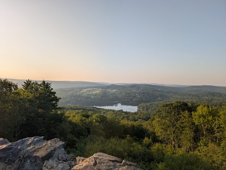 View of Mt. Tom Pond from the Tower
