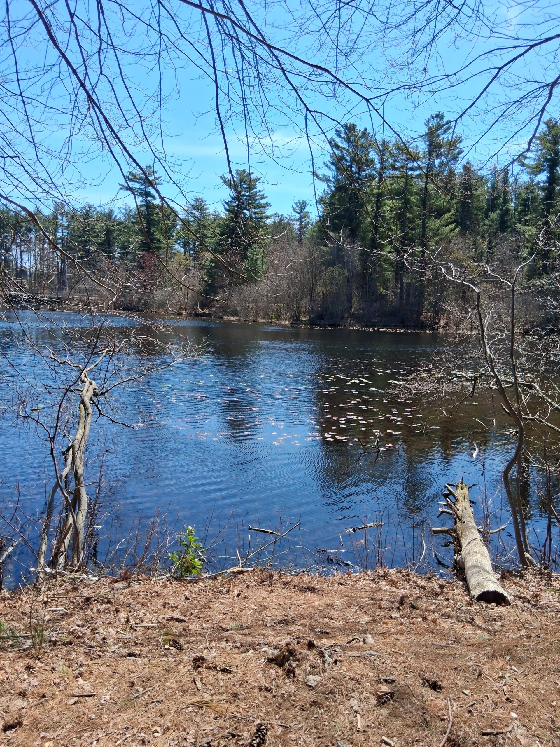 Ff b945dd76e8c290e69ab9874461cfefa4 ff 1000000274