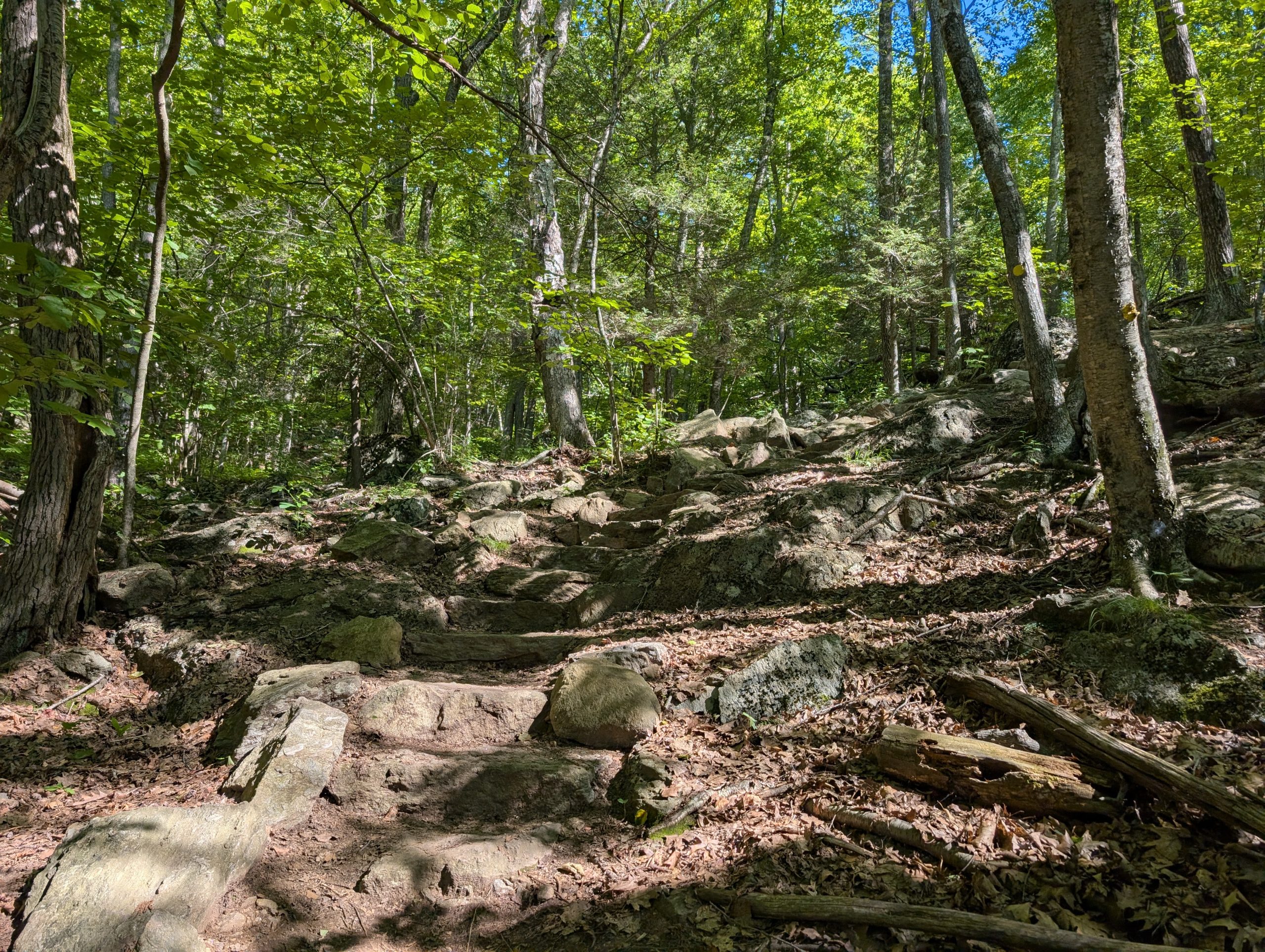 Stone steps to assist the climb to the peak.