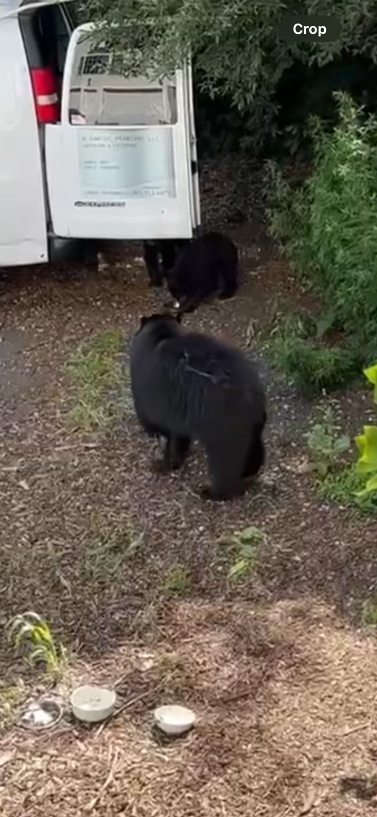 Mamma and babied