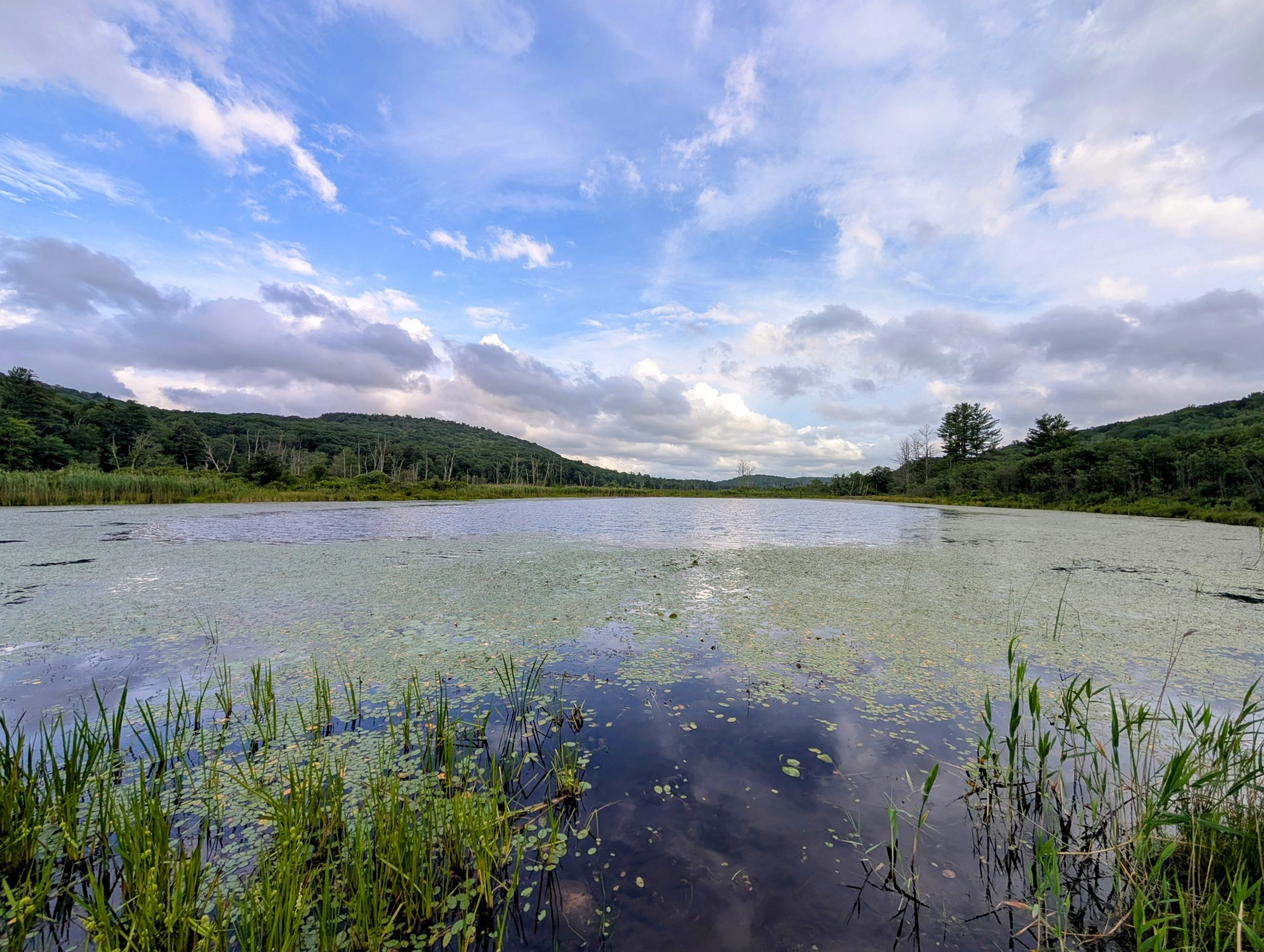 Blue skies with a view of the pond and ridgeline.