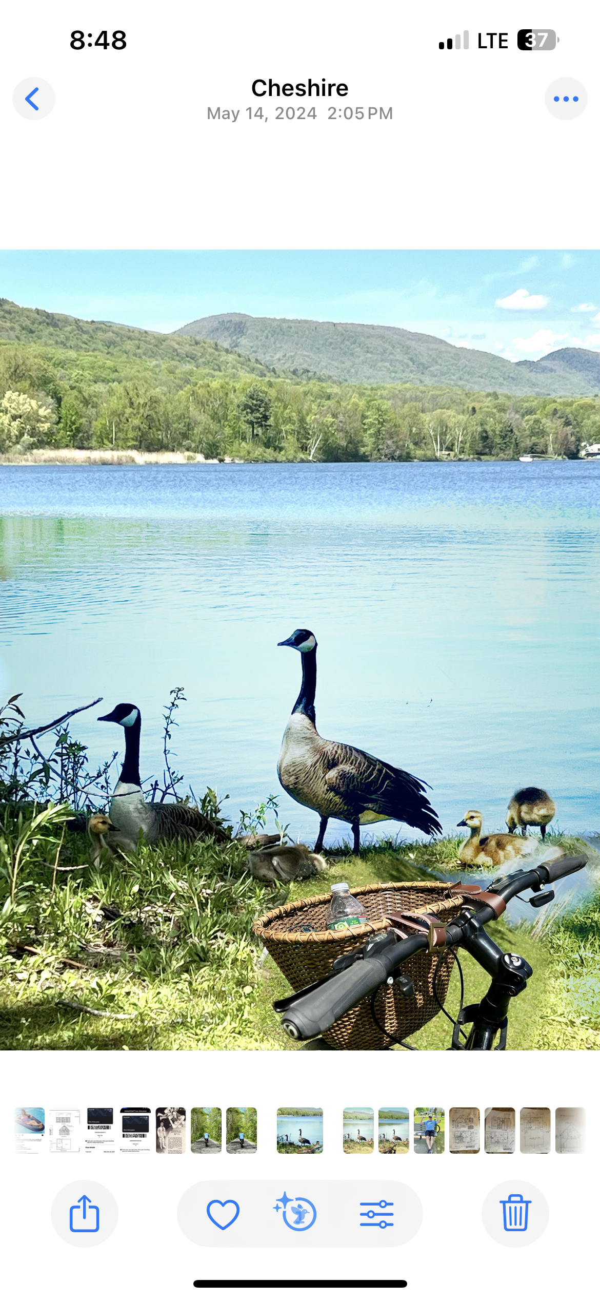 Ashuwillticook Rail Trail offers mountain, lake and wildlife views