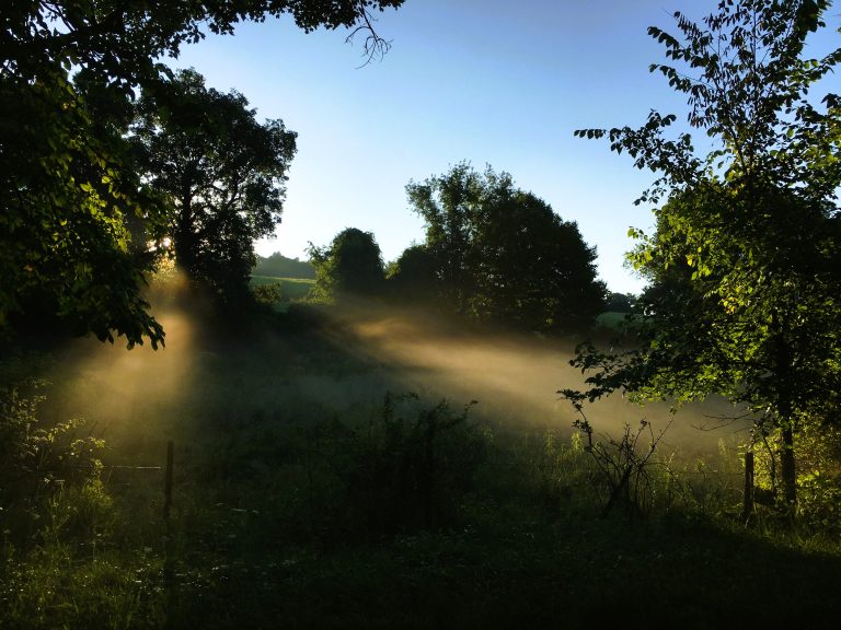 Daybreak
