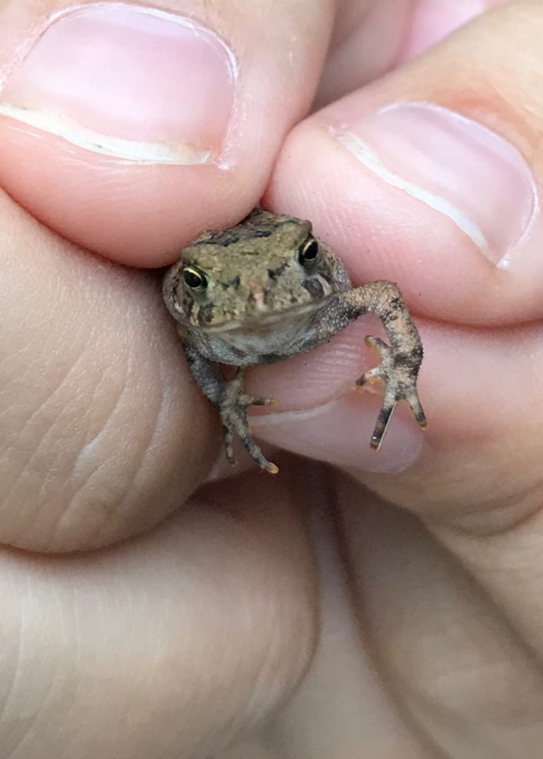 Sooo Small