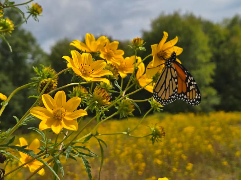 Ff 4bbb1e502da4067cc36a547a773dfbf0 ff d187217a 8e1c 4232 9752 d67edb2caeb8