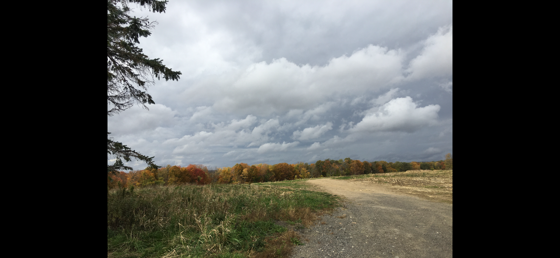 Ff 532a1df45c9dd4c111c750c7984916f9 ff img 0409