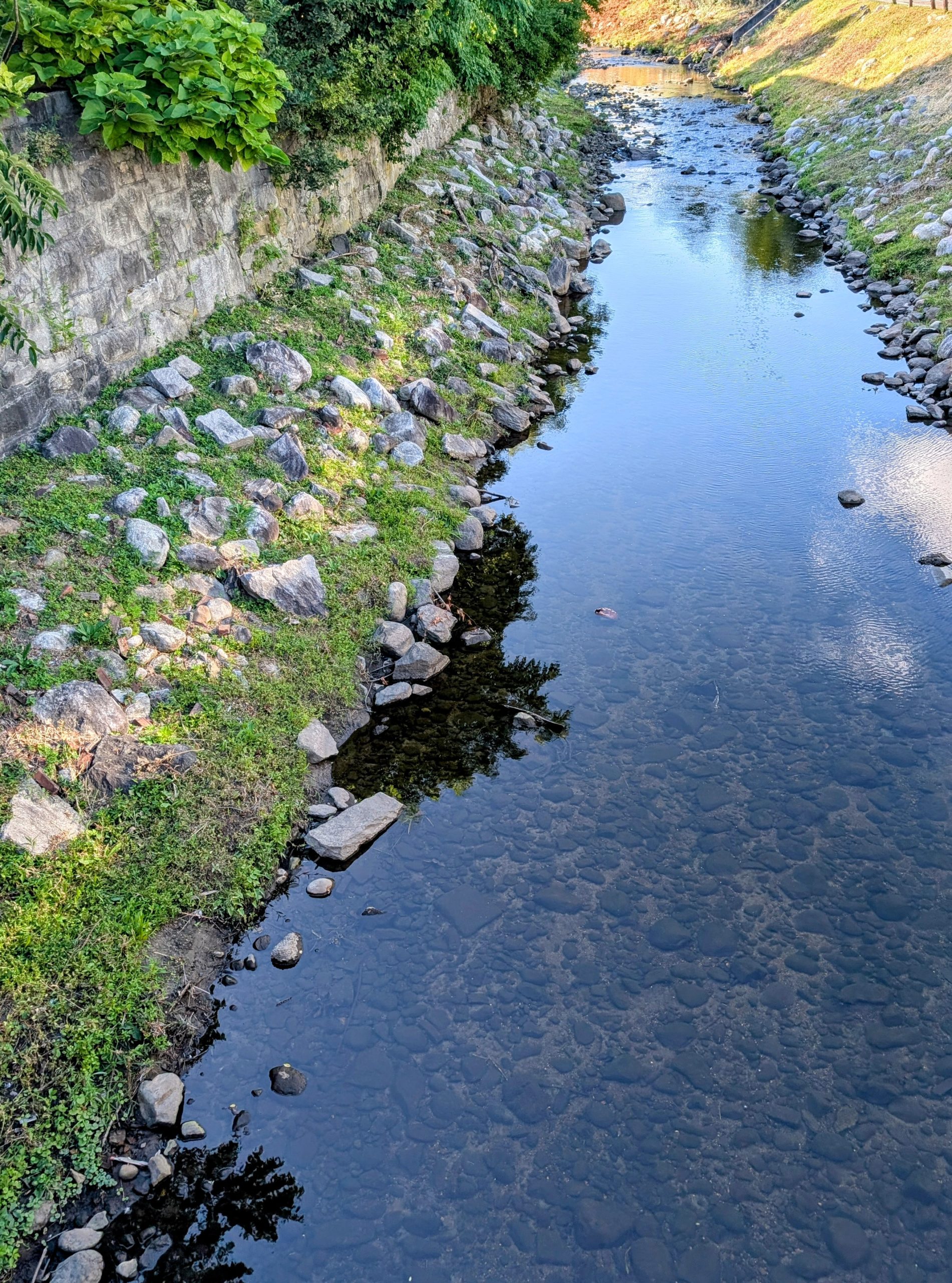 In town view of the Naugatuck River near Sawyer's Bar and Grill.