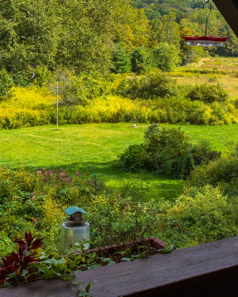Field view from the upper deck at Bent of the River Audubon, September 12, 2025.