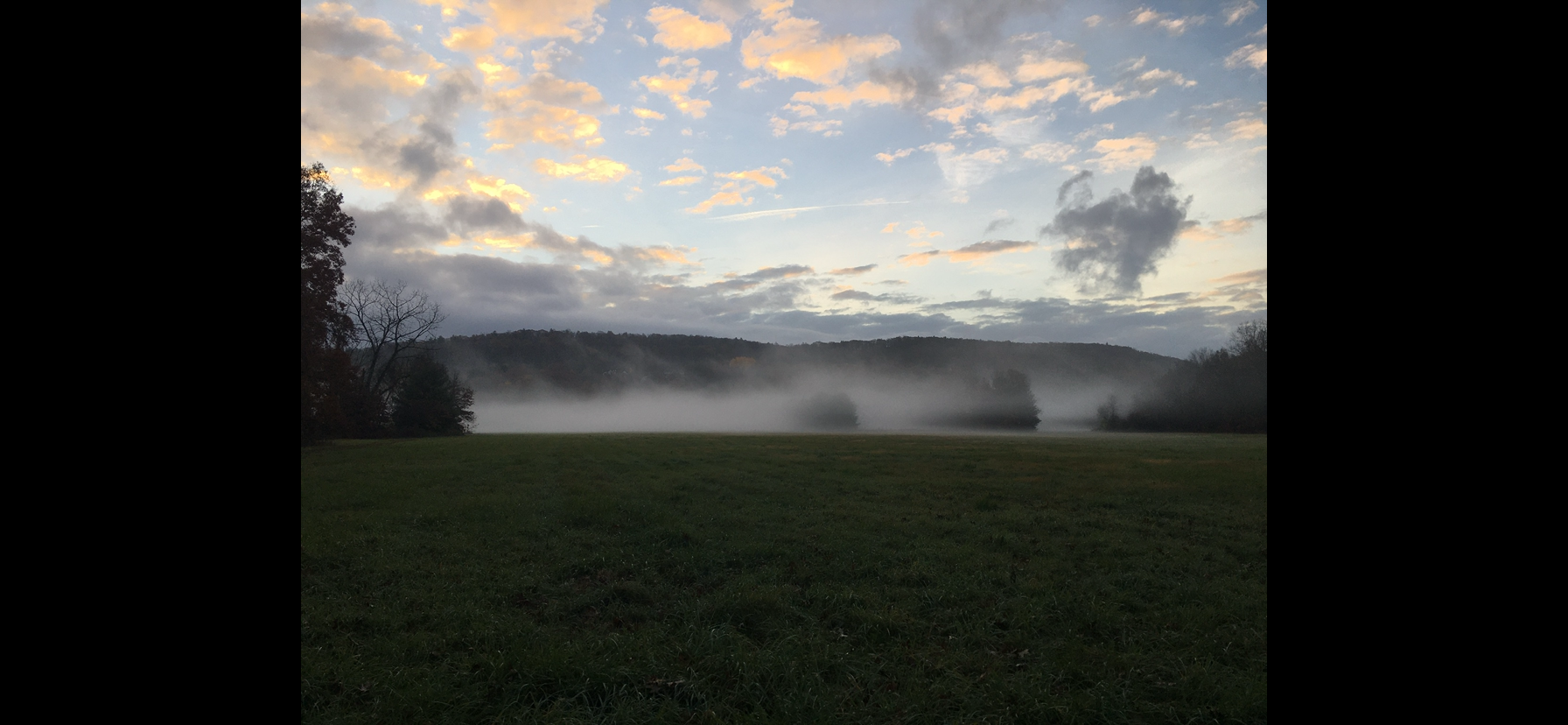 Ff 6af215004bb2f5eebb3c6a928cba9860 ff img 0410