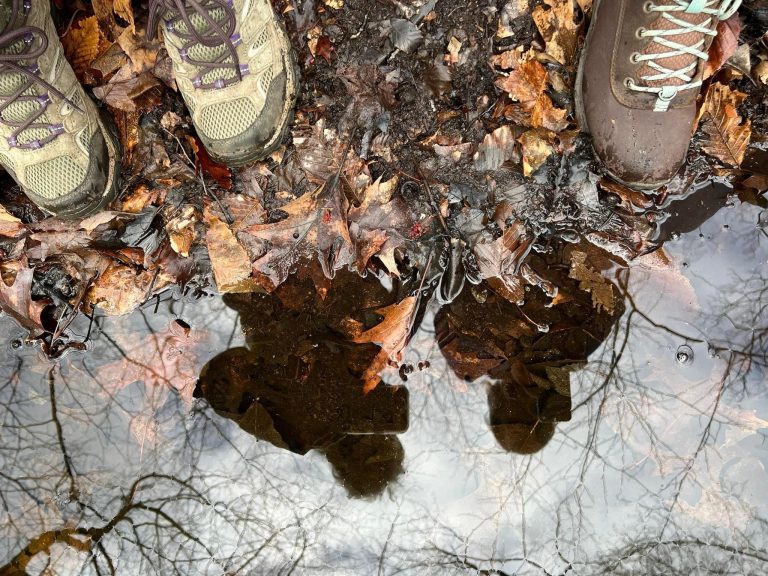 Reflections