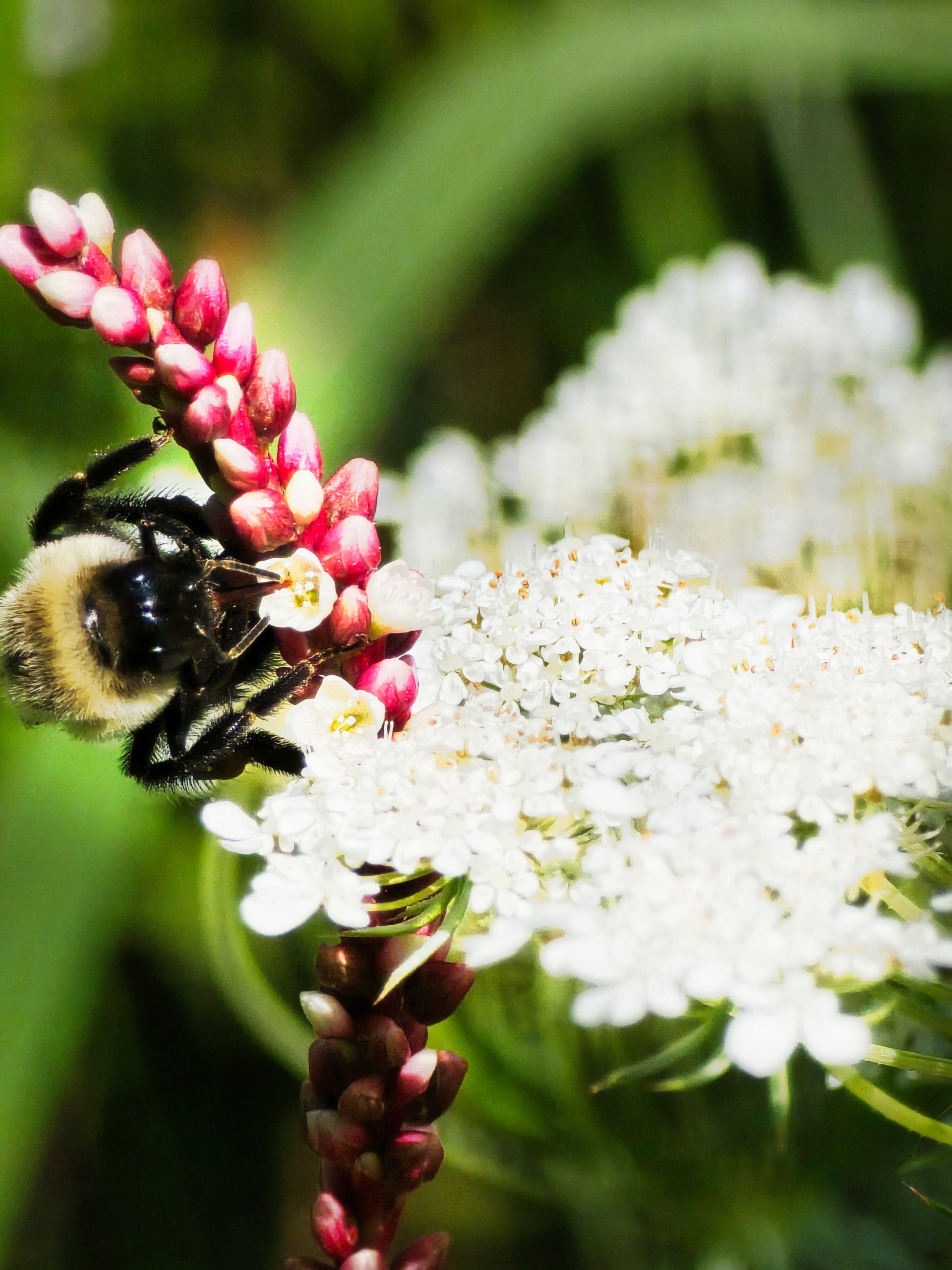 "We Feed the World" series - Part 1